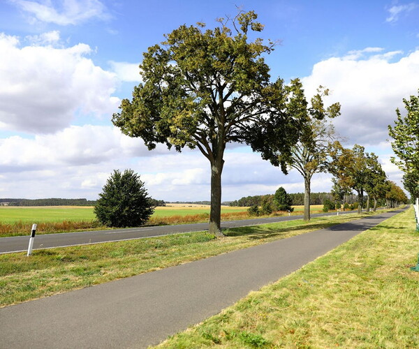 Stra&szlig;enw&auml;rter-Azubis bei der Arbeit