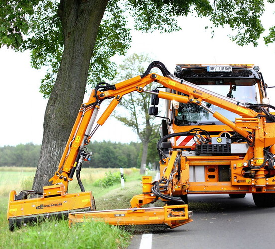Stra&szlig;enw&auml;rter bei der Baumf&auml;llung